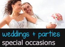 DJ Weddings, Parties, Special Occasions